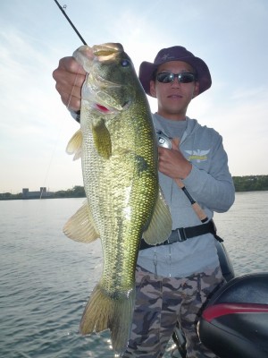 truth news ブログ写真 2012/06/08