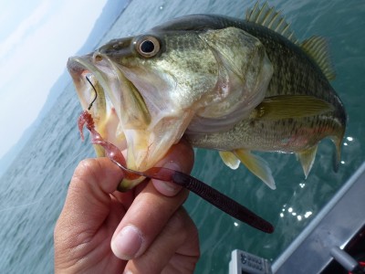 truth news ブログ写真 2012/06/08