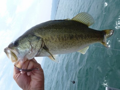 truth news ブログ写真 2012/06/08