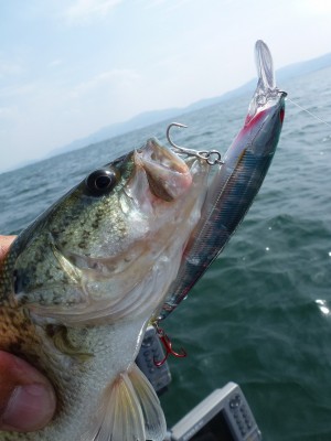 truth news ブログ写真 2012/06/08