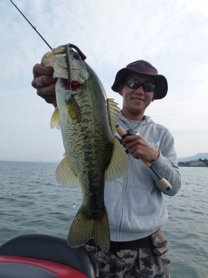 truth news ブログ写真 2012/06/08