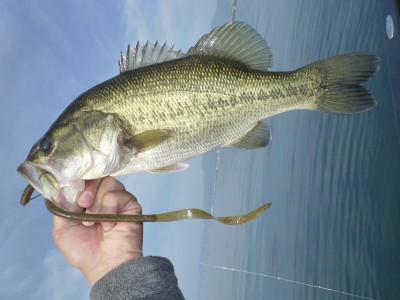 truth news ブログ写真 2012/06/08