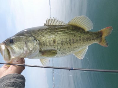 truth news ブログ写真 2012/06/08