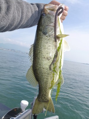 truth news ブログ写真 2012/06/08