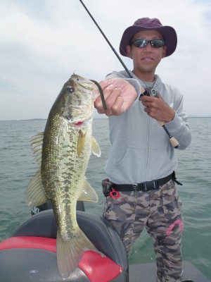 truth news ブログ写真 2012/06/08