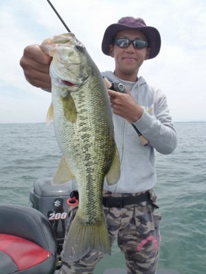 truth news ブログ写真 2012/06/08