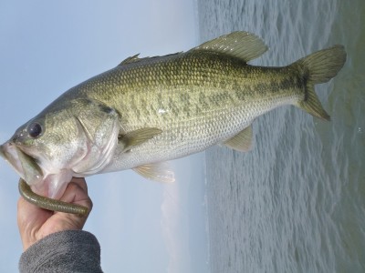 truth news ブログ写真 2012/06/08