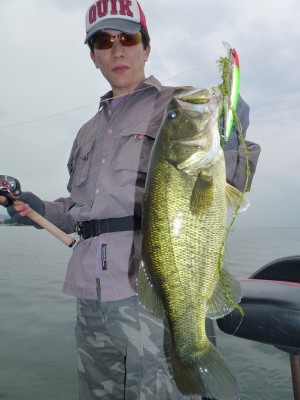 truth news ブログ写真 2012/06/08