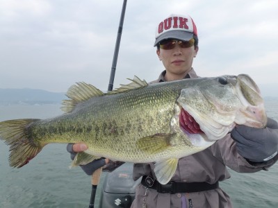 truth news ブログ写真 2012/06/08