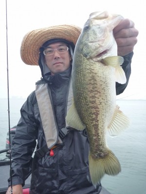 truth news ブログ写真 2012/06/10