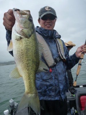 truth news ブログ写真 2012/06/10