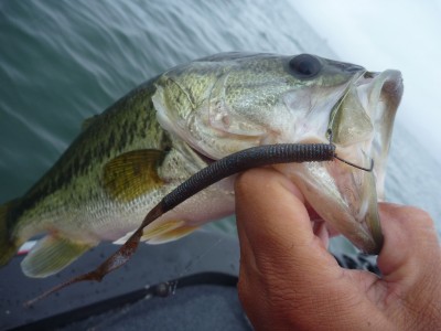 truth news ブログ写真 2012/06/10