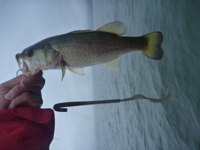 truth news ブログ写真 2012/06/10