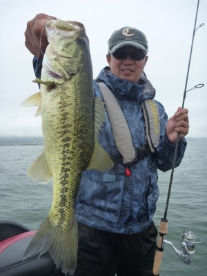 truth news ブログ写真 2012/06/10