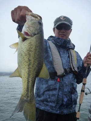 truth news ブログ写真 2012/06/10