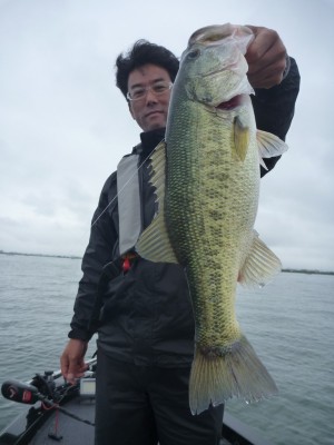 truth news ブログ写真 2012/06/10