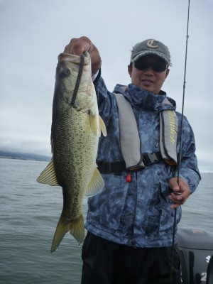 truth news ブログ写真 2012/06/10