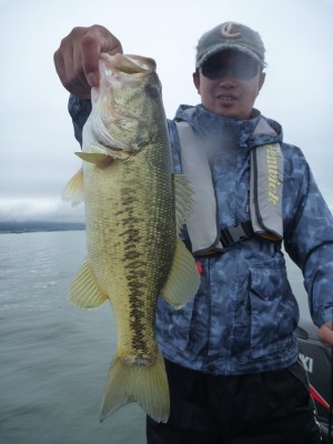 truth news ブログ写真 2012/06/10