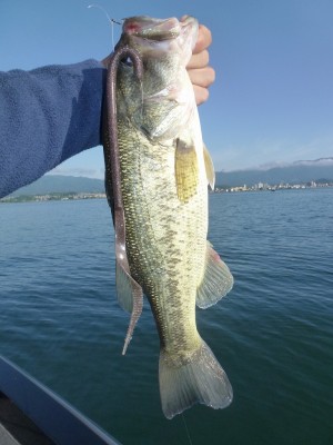 truth news ブログ写真 2012/06/12