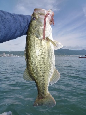 truth news ブログ写真 2012/06/12