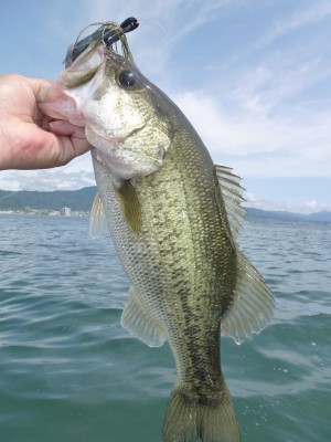 truth news ブログ写真 2012/06/12