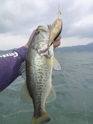 truth news ブログ写真 2012/06/12