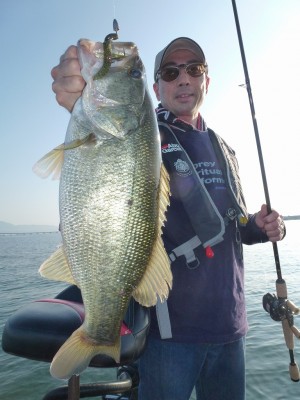 truth news ブログ写真 2012/06/14