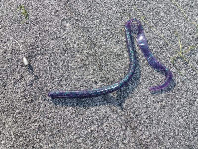 truth news ブログ写真 2012/06/14