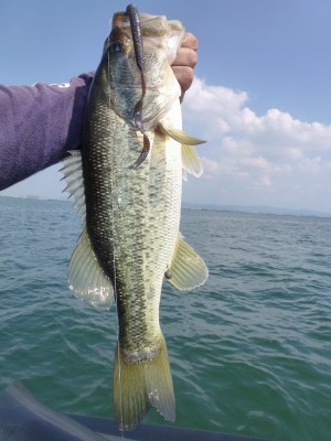 truth news ブログ写真 2012/06/14