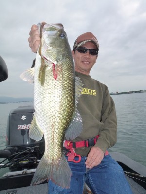 truth news ブログ写真 2012/06/16