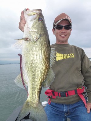 truth news ブログ写真 2012/06/16