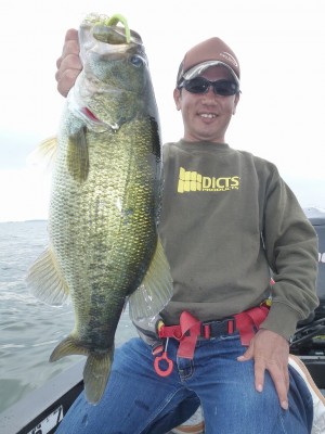 truth news ブログ写真 2012/06/16