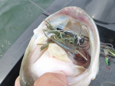 truth news ブログ写真 2012/06/16