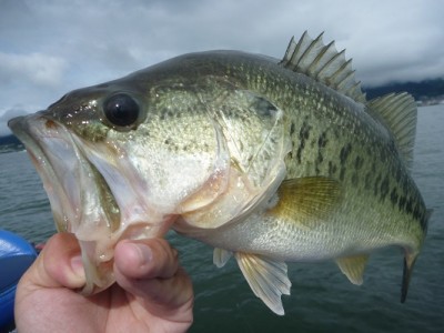 truth news ブログ写真 2012/06/17