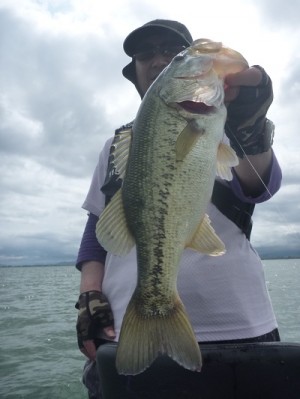 truth news ブログ写真 2012/06/17