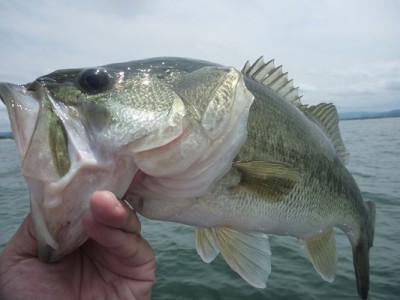 truth news ブログ写真 2012/06/17