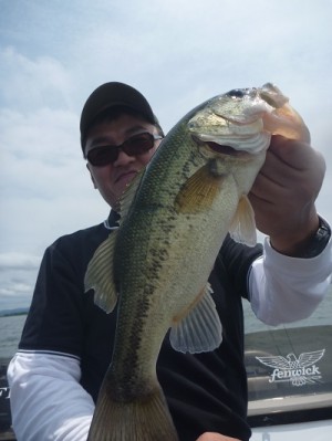 truth news ブログ写真 2012/06/17