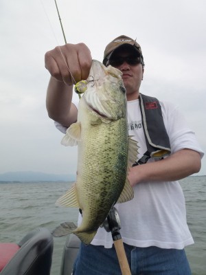 truth news ブログ写真 2012/06/19