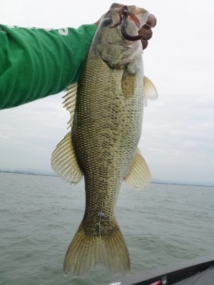 truth news ブログ写真 2012/06/19