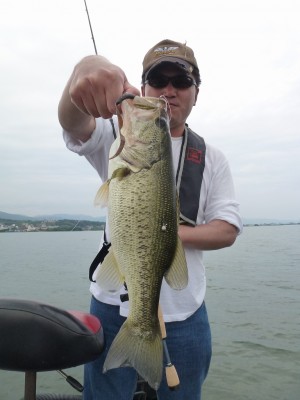 truth news ブログ写真 2012/06/19