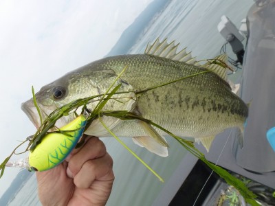 truth news ブログ写真 2012/06/19