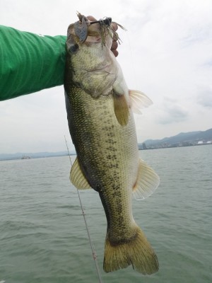 truth news ブログ写真 2012/06/19