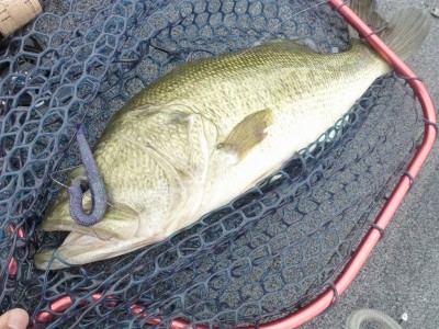 truth news ブログ写真 2012/06/22