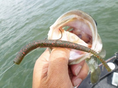 truth news ブログ写真 2012/06/22