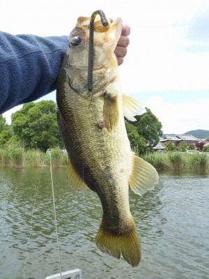 truth news ブログ写真 2012/06/22