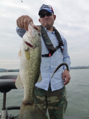 truth news ブログ写真 2012/06/23