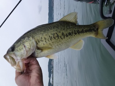 truth news ブログ写真 2012/06/23