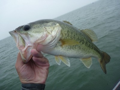 truth news ブログ写真 2012/07/01