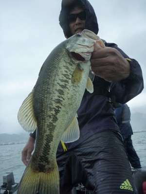 truth news ブログ写真 2012/07/01