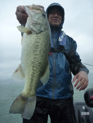 truth news ブログ写真 2012/07/01